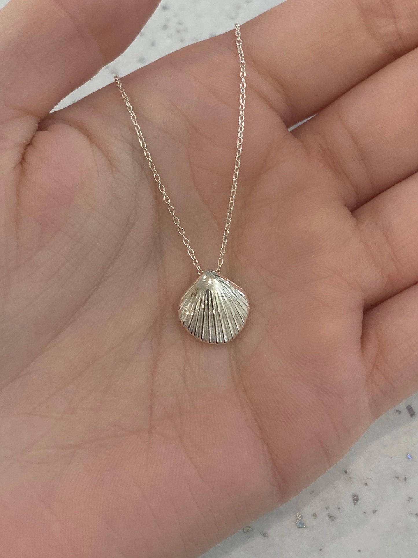 Shell silver necklace